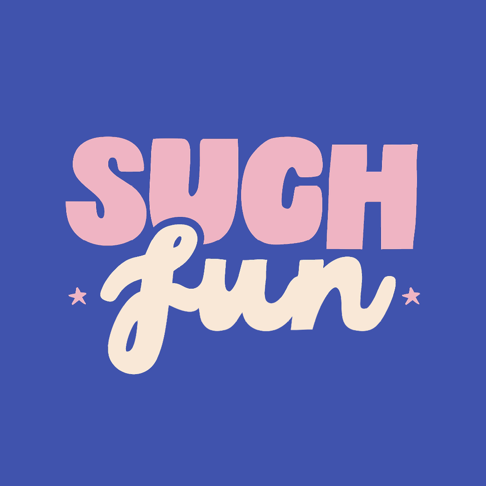 The 'SUCH FUN' Hoodie